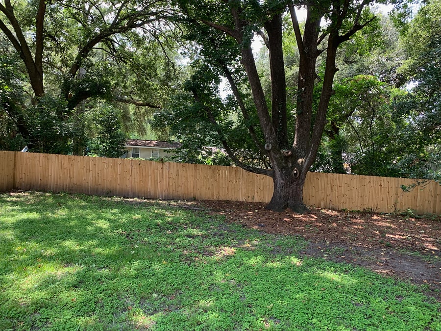 Furnished Finder property 859016_1 photo 9