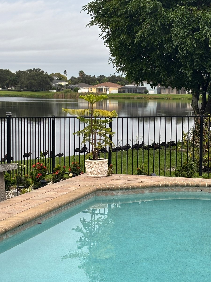 Furnished Finder property 859250_1 photo 13