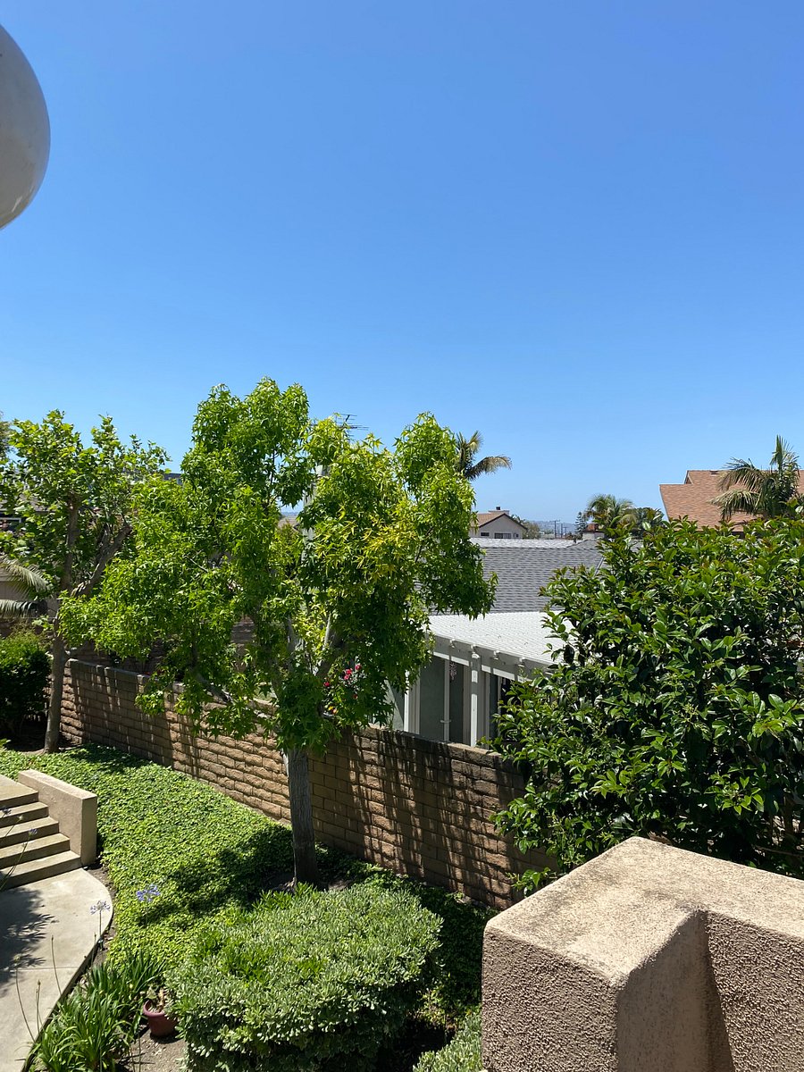Furnished Finder property 859454_1 photo 25