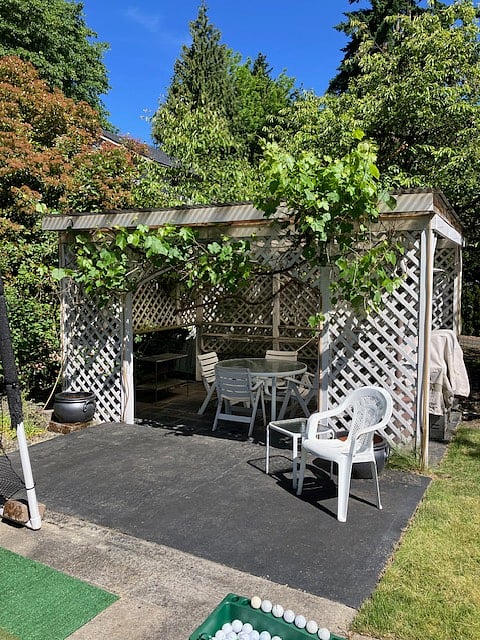 Backyard Grape Arbor for Summer Outdoor Dining
