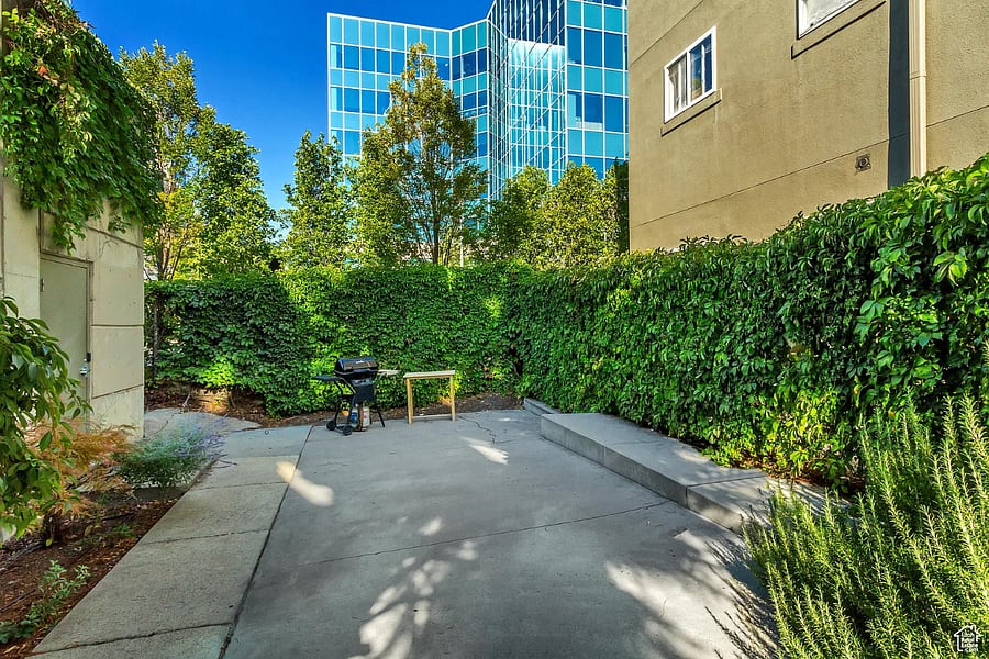 Shared patio with propane grill and green privacy hedge.