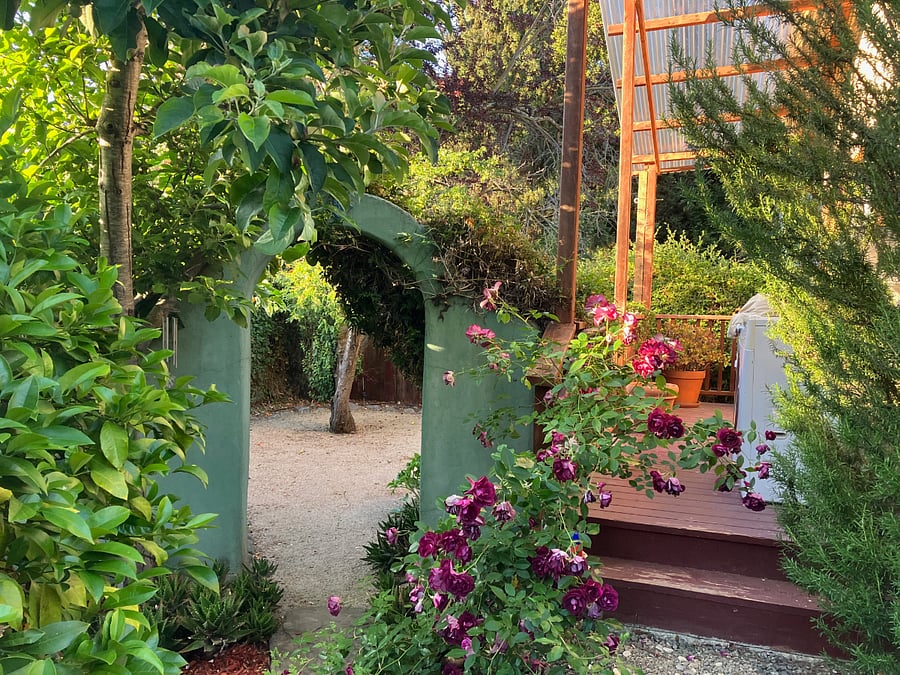 View of back porch with washer/dryer (right), through to fruit trees behind the house