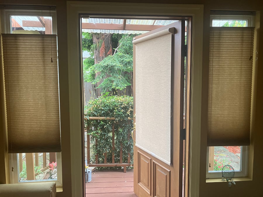 View through front door to patio and redwood trees