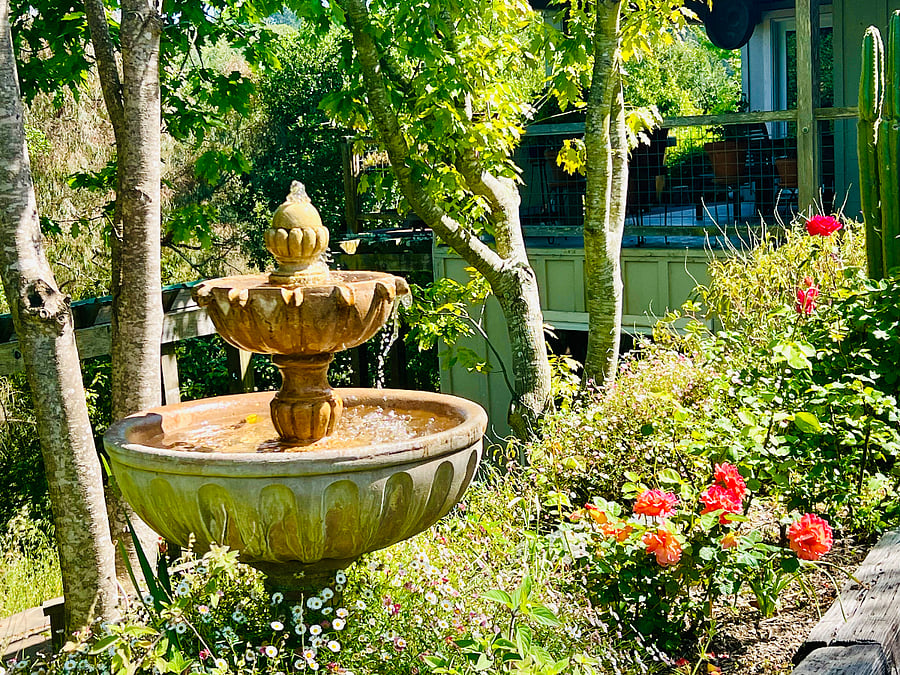 More Landscaping.......