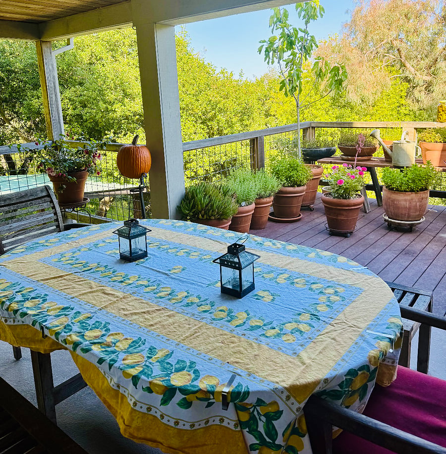 Outdoor Eating Area on the Property