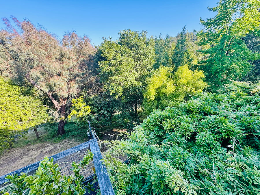 View of the Property