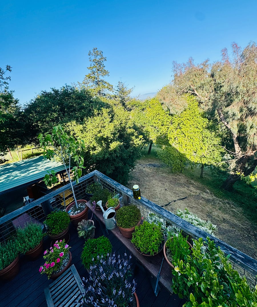 More Views from the Property