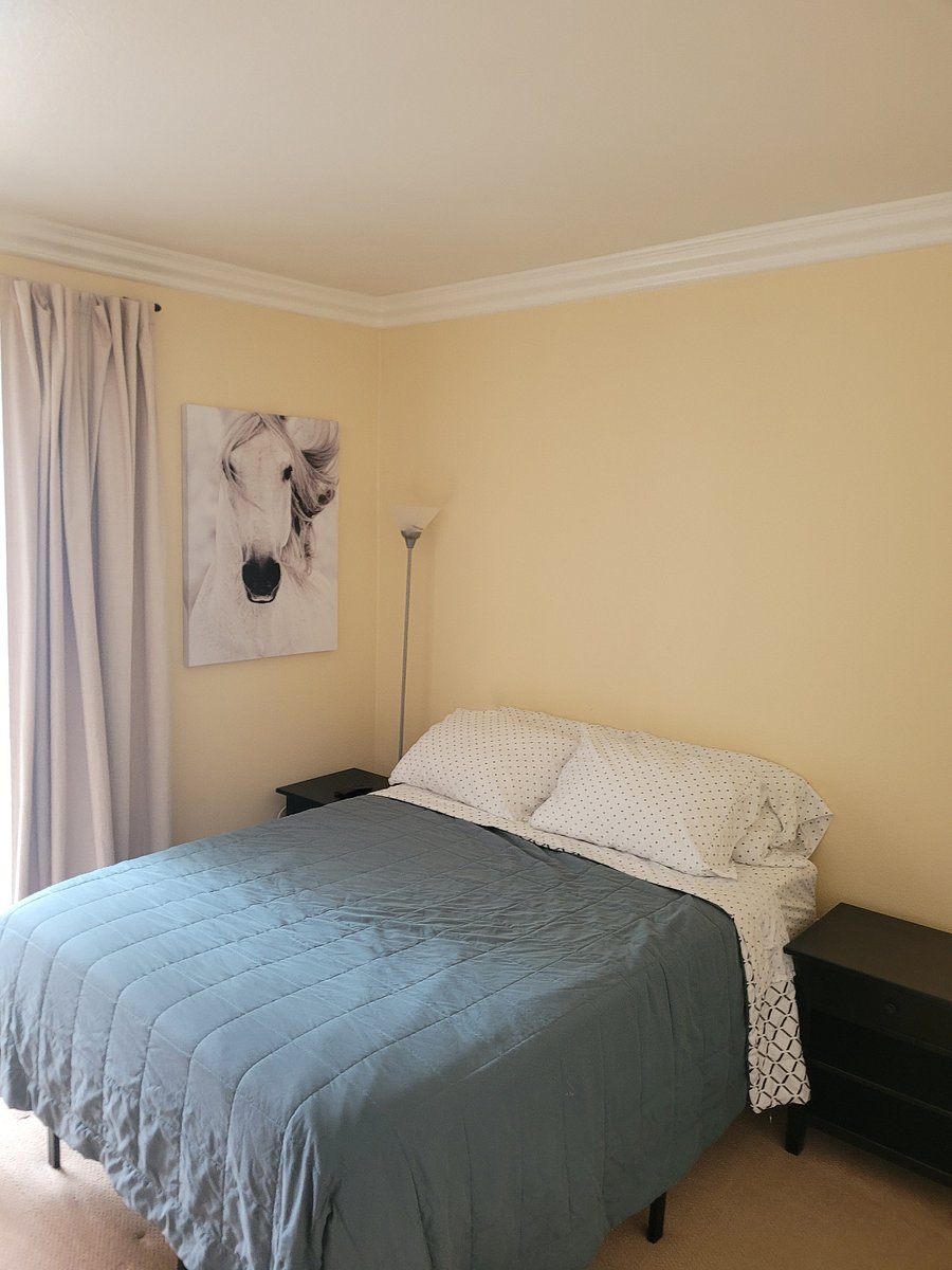 Furnished Finder property 859817_1 photo 21