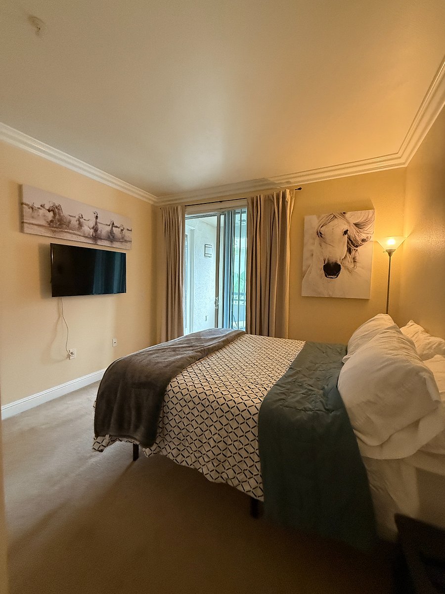 Furnished Finder property 859817_1 photo 20