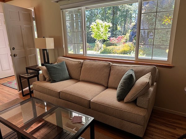 Living room sofa and view