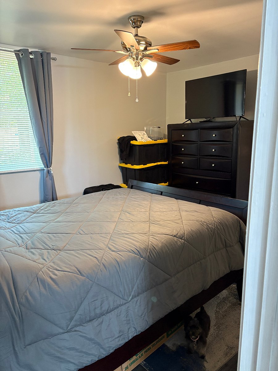 Furnished Finder property 859841_2 photo 16