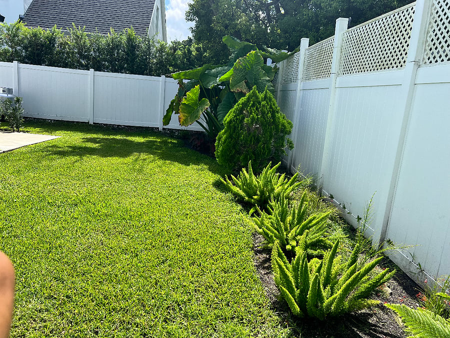Plenty of lush lawn for you doggy to run around and play!