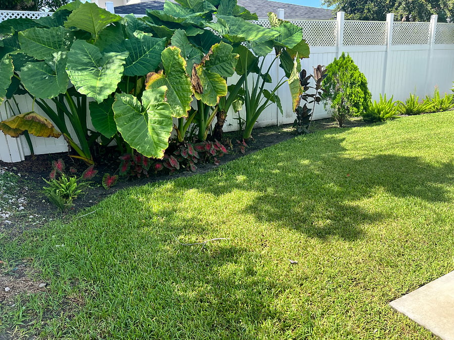 Relax and enjoy the fully fenced in backyard in the Florida sun, all year round. 
