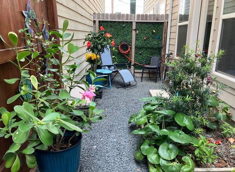 Back patio off dining room