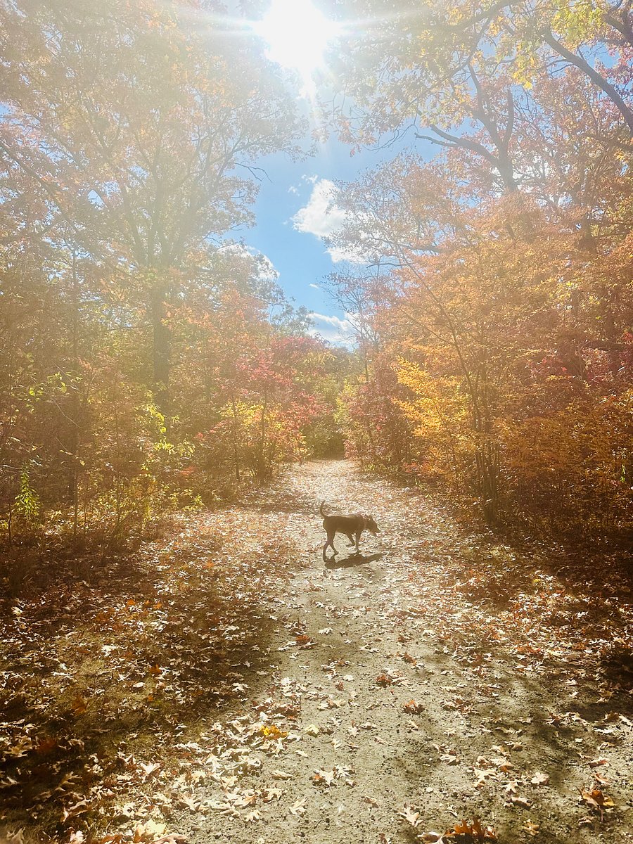 Enjoy a walk for you and your pup, anytime of year!