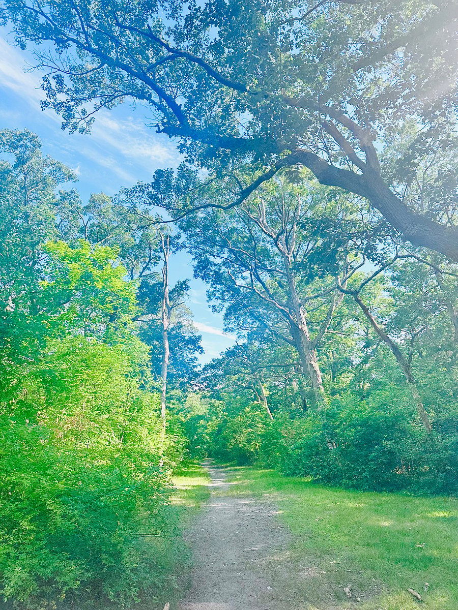 Take the half mile trail through the woods. Youre in for a treat. 
