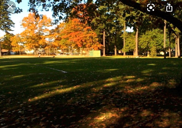 Wilshire Park just 1 block away
