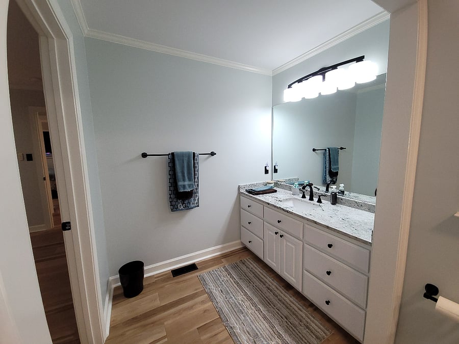 Master Bathroom vanity