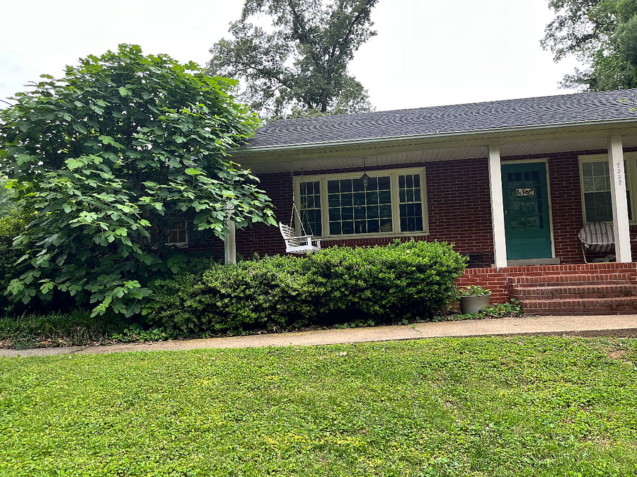Furnished Finder property 860278_1 photo 15