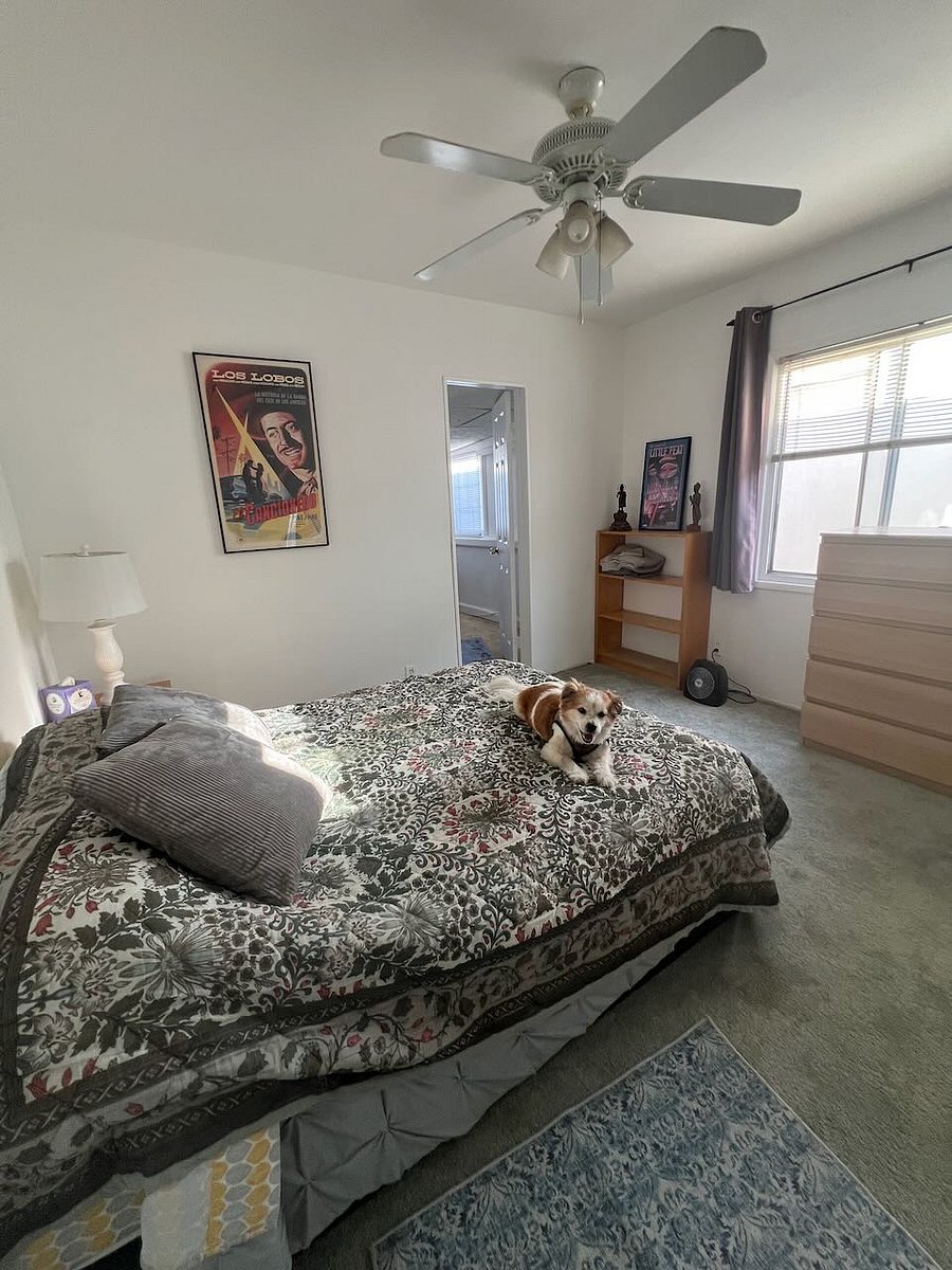 Furnished Finder property 860343_1 photo 5