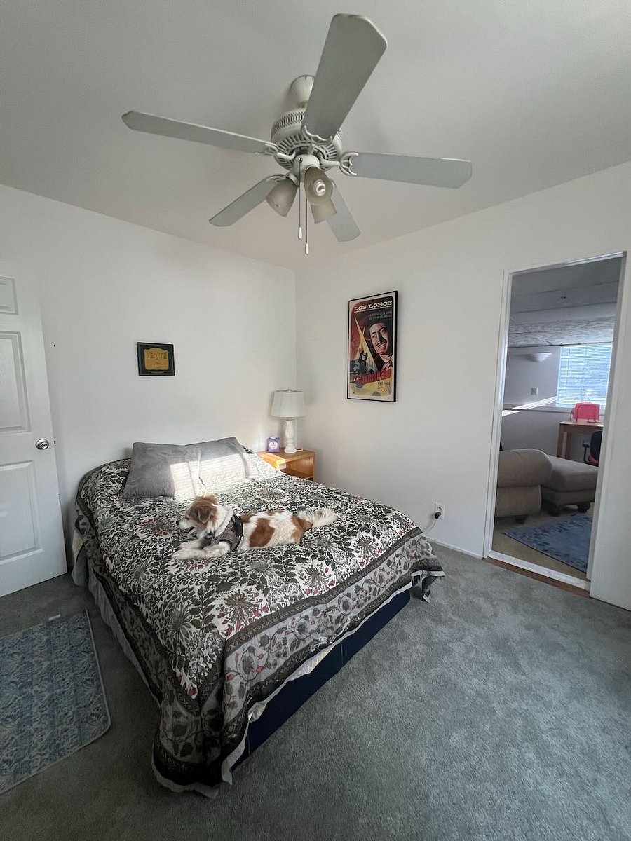 Furnished Finder property 860343_1 photo 4