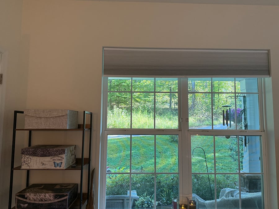 Front yard view from bed 