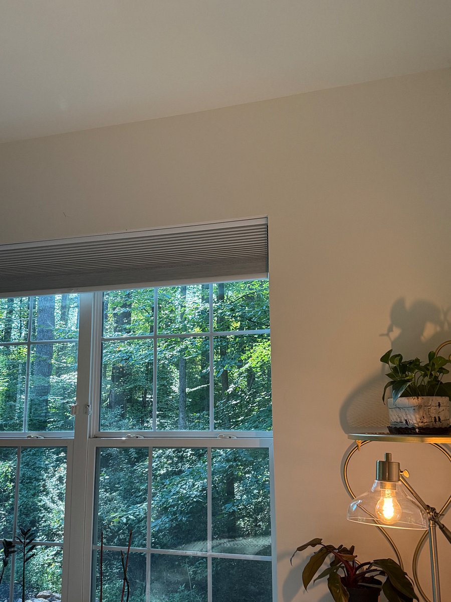 Side yard wooded view from bedroom 