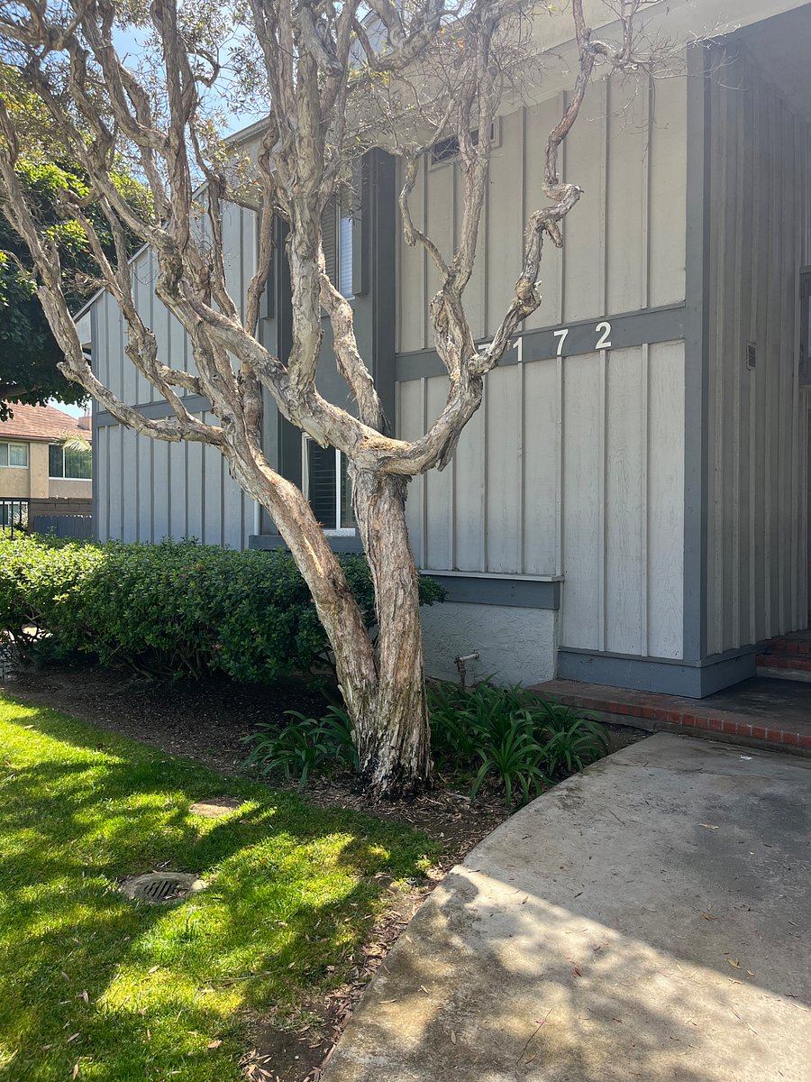 Furnished Finder property 860619_1 photo 6