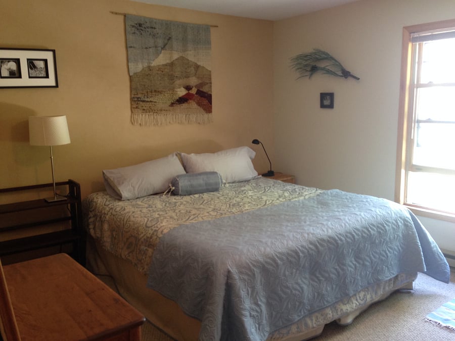 Master bedroom, organic California King mattress and black out curtains, two closets and a dresser.