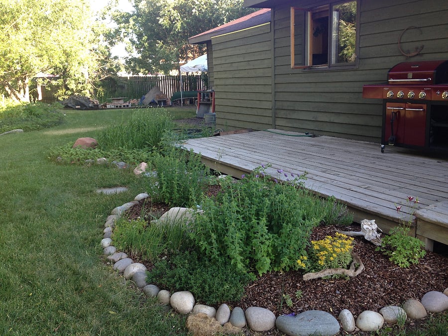 Kitchen garden off the back deck.