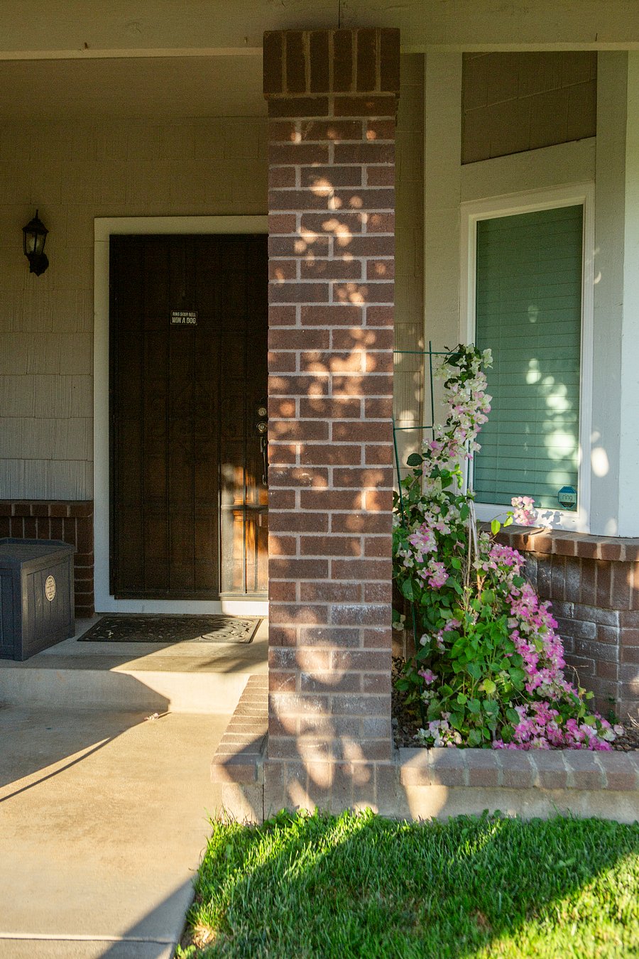 Entrance with protected package delivery bin