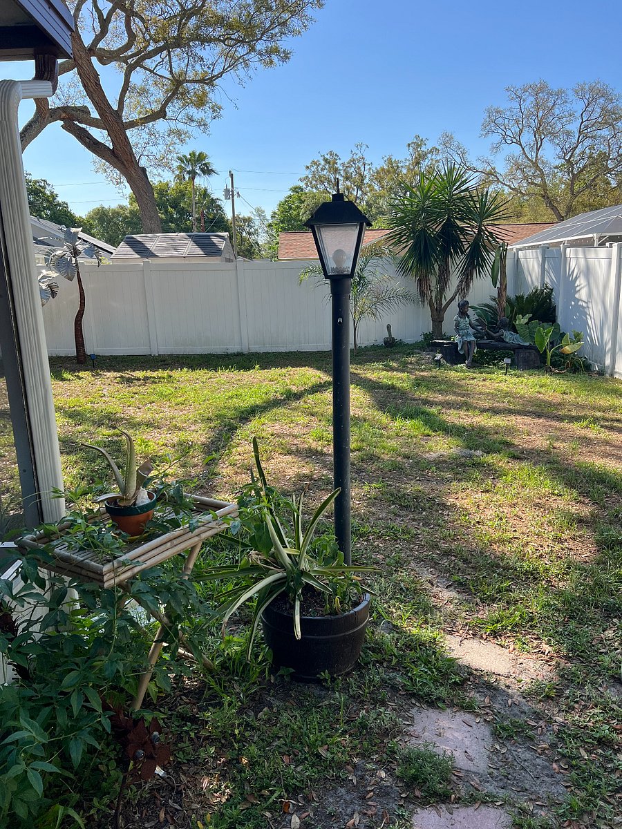 Furnished Finder property 860834_1 photo 17