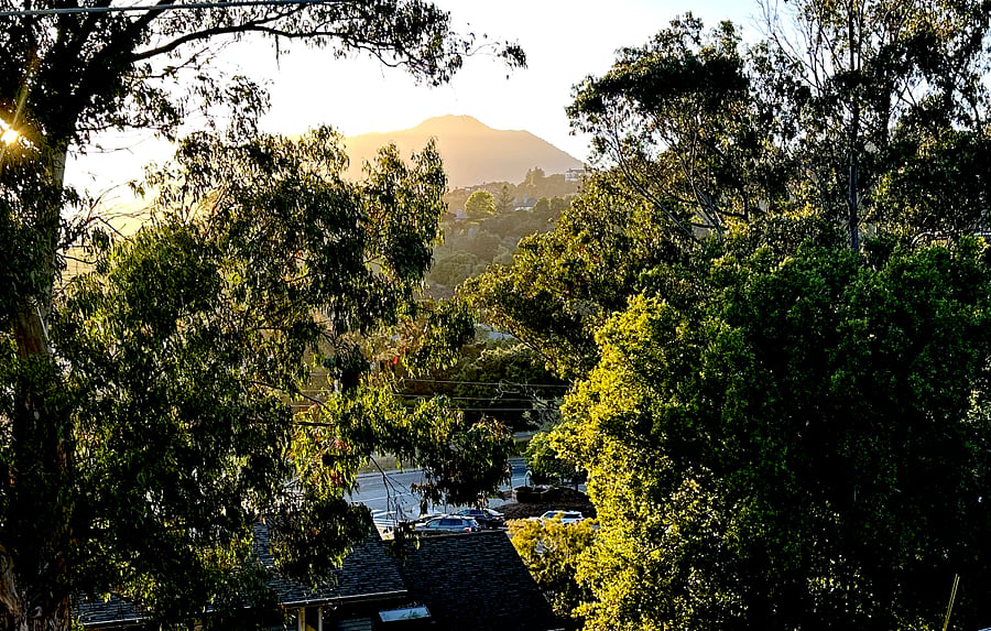 View of Mt. Tam from Deck