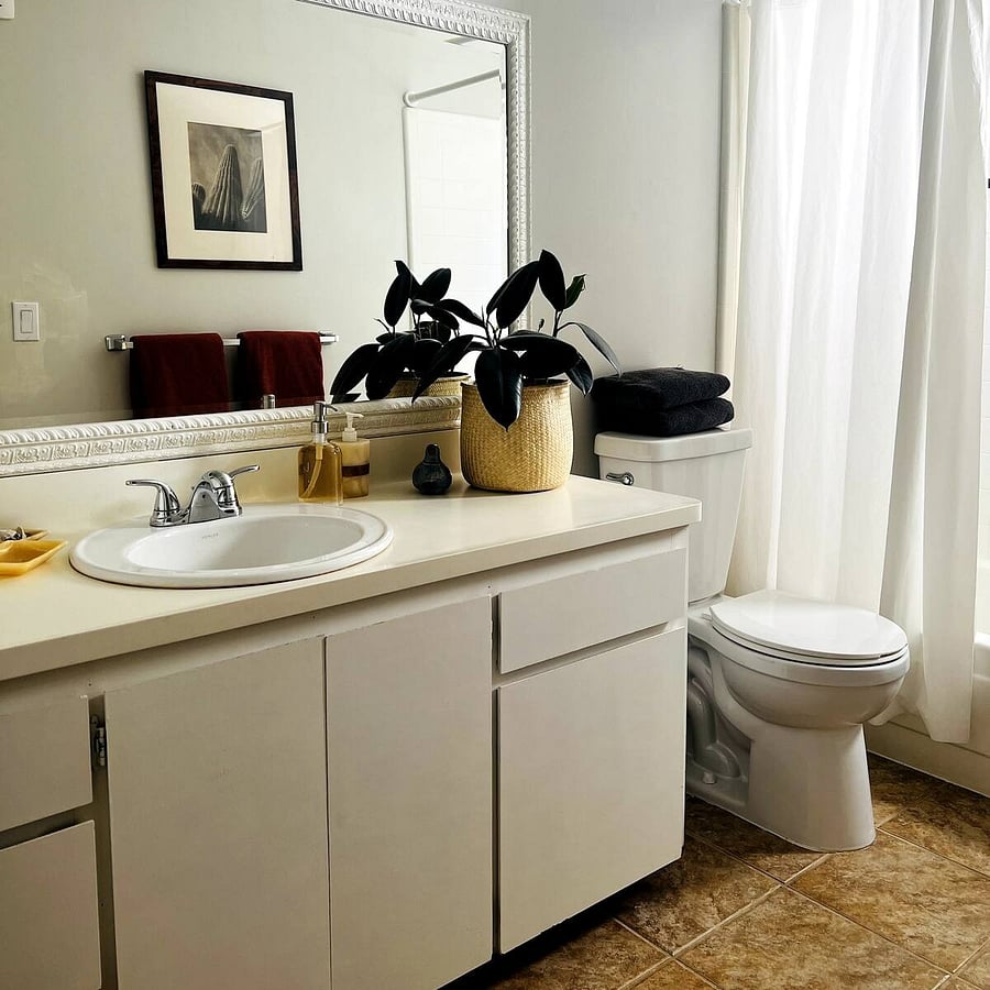 Sunny bathroom with tub/shower