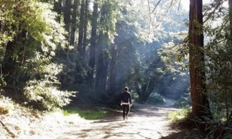 Over 500 miles of Regional Park trails available nearby for walking and biking.