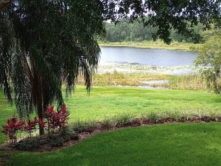 Furnished Finder property 861378_1 photo 14