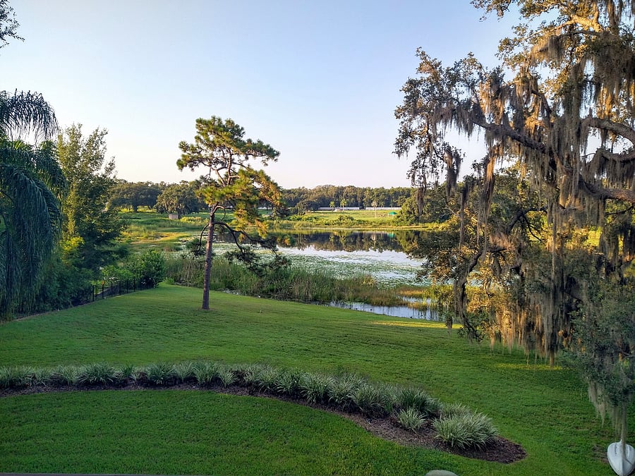 Furnished Finder property 861378_1 photo 25