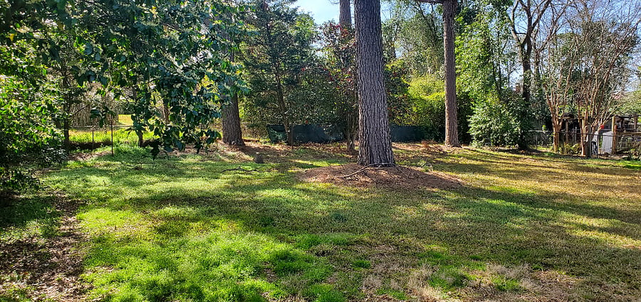 Furnished Finder property 861399_1 photo 14