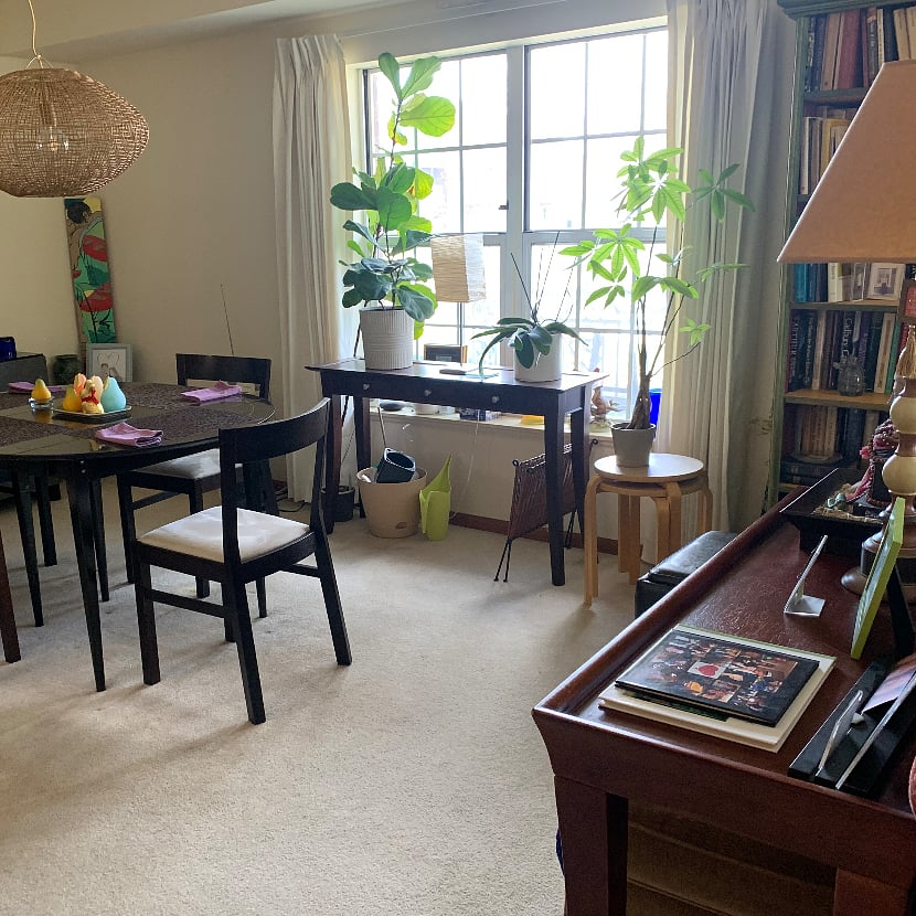 Shared Dining Area just beyond the Kitchen ... blends into the Living Room Area with bookcases, Smart TV, and comfortable upholstered furniture.