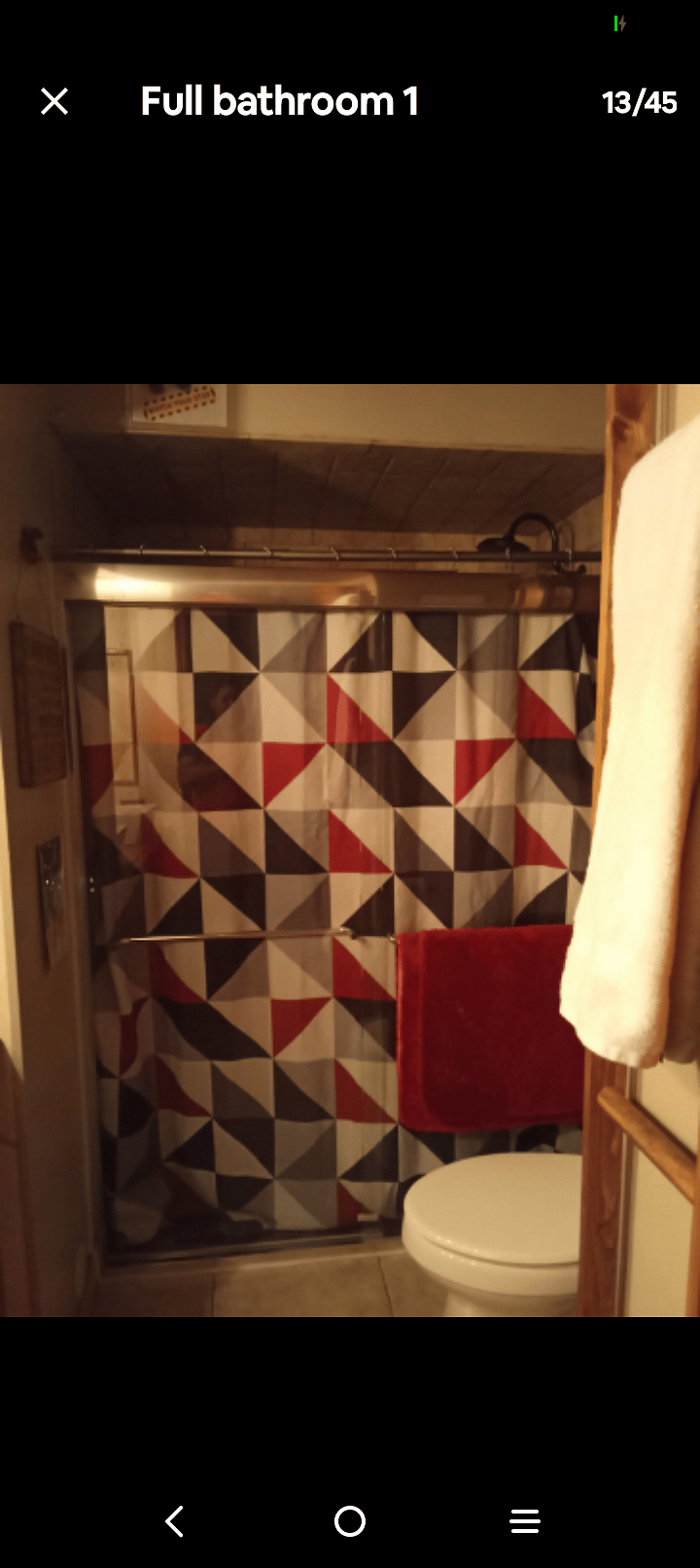 Hall bathroom 
