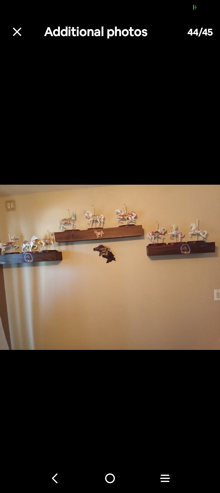 Additional /Horse room 