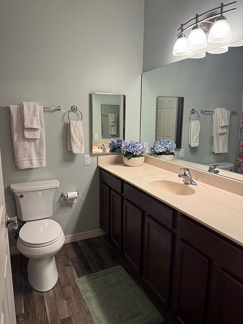 Master Suite Bathroom
