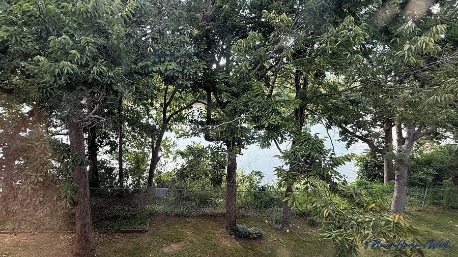 View From Master Bedroom Window