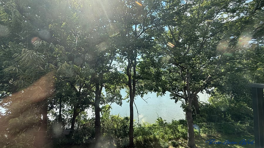 View From Guest Bedroom Window