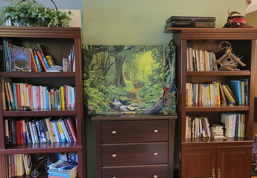 *That's a TV behind the forest scene!*