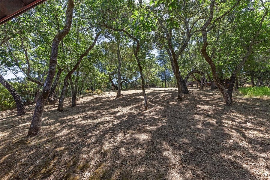 Furnished Finder property 861975_1 photo 25