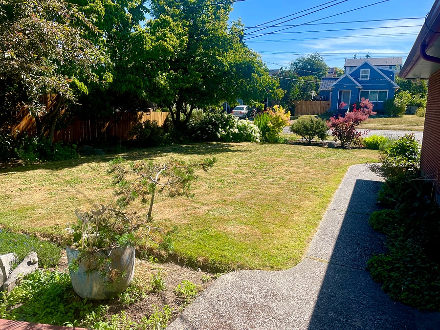 Front yard looking towards neighbors,