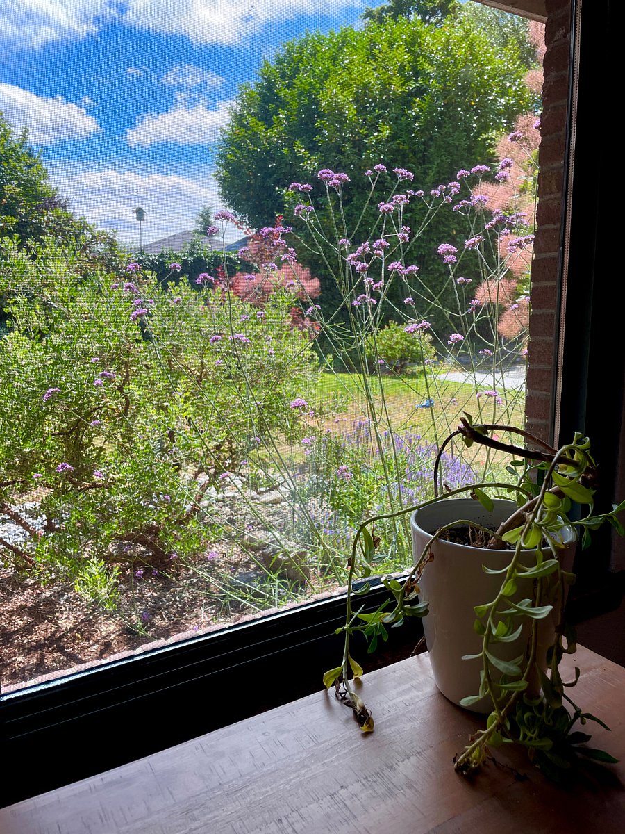 Master bedroom looking at backyard