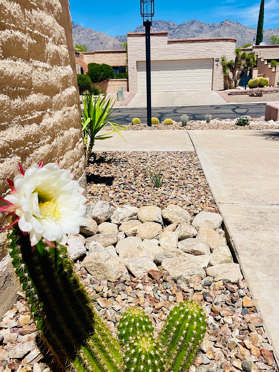 Furnished Finder property 862223_1 photo 19