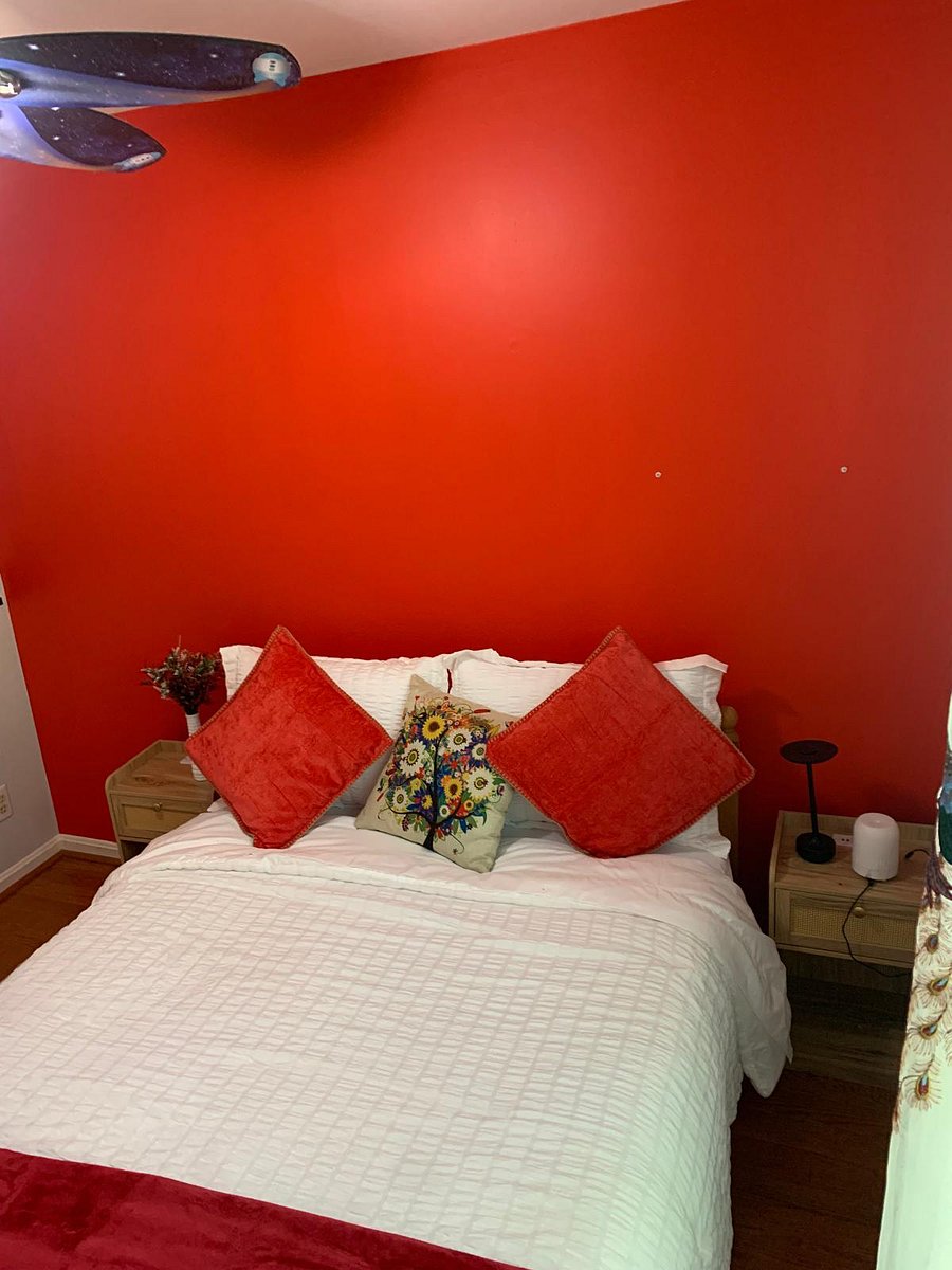 Furnished Finder property 862258_1 photo 28